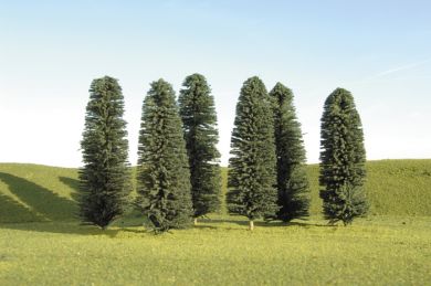 5"-6" Cedar Trees Bac
