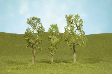 3"-4" Aspen Trees