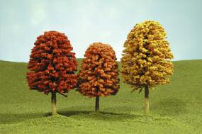 3"-4" Autumn Deciduous Trees