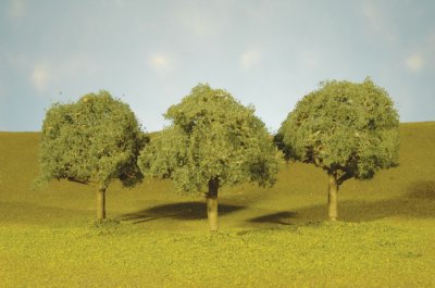 3"-3.5" Oak Trees