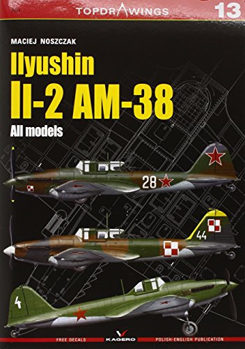 IIyushin II-2 AM-8