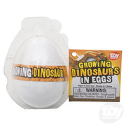 Growing Dinosaur Egg