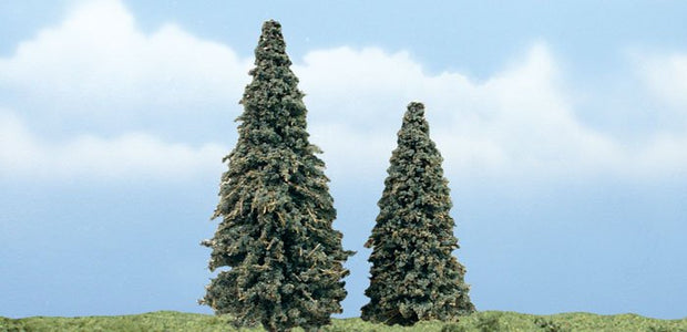 Conifer Trees