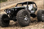 Wraith 1/10th Scale Electric 4WD - RTR