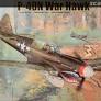 P-40N War Hawk- 1/32 scale