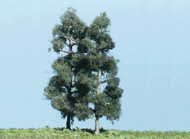 Columnar Pine 4 Trees 4 1/2"