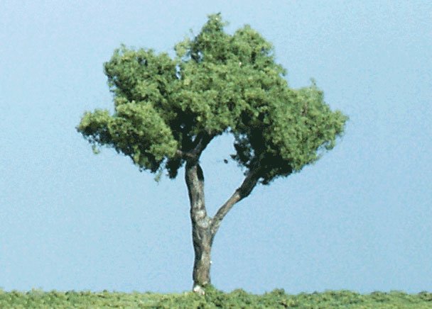 Gnarled 2 Trees